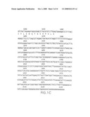 Death domain containing receptor 4 diagram and image