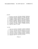 Death domain containing receptor 4 diagram and image