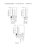 Death domain containing receptor 4 diagram and image