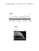 Decorative sheet, decorative molded body, decorative key sheet, and decorative sheet manufacturing method diagram and image