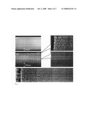 Graded glass/zirconia/glass structures for damage resistant ceramic dental and orthopedic prostheses diagram and image