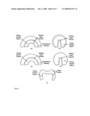 Graded glass/zirconia/glass structures for damage resistant ceramic dental and orthopedic prostheses diagram and image