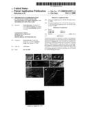 DIFFERENTIALLY EXPRESSED GENES INVOLVED IN ANGIOGENESIS, THE POLYPEPTIDES ENCODED THEREBY, AND METHODS OF USING THE SAME diagram and image