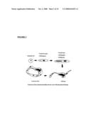 DIFFERENTIALLY EXPRESSED GENES INVOLVED IN ANGIOGENESIS, THE POLYPEPTIDES ENCODED THEREBY, AND METHODS OF USING THE SAME diagram and image