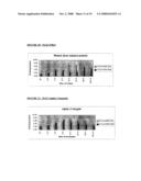 DIFFERENTIALLY EXPRESSED GENES INVOLVED IN ANGIOGENESIS, THE POLYPEPTIDES ENCODED THEREBY, AND METHODS OF USING THE SAME diagram and image