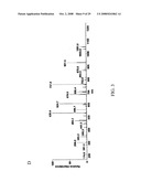 PROPIONYL AND BUTYRYL LYSINE MODIFICATIONS IN PROTEINS diagram and image