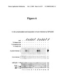 PROPIONYL AND BUTYRYL LYSINE MODIFICATIONS IN PROTEINS diagram and image