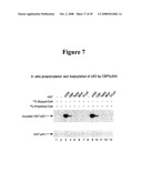 PROPIONYL AND BUTYRYL LYSINE MODIFICATIONS IN PROTEINS diagram and image