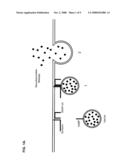 MODIFIED CLOSTRIDIAL TOXINS WITH ENHANCED TRANSLOCATION CAPABILITIES AND ALTERED TARGETING ACTIVITY FOR CLOSTRIDIAL TOXIN TARGET CELLS diagram and image