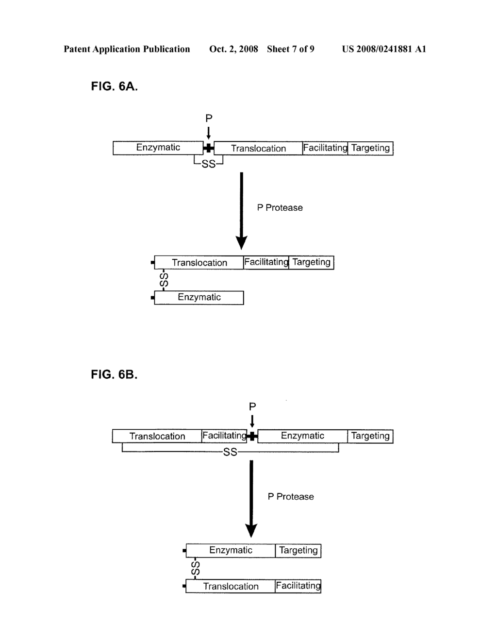 MODIFIED CLOSTRIDIAL TOXINS WITH ENHANCED TRANSLOCATION CAPABILITIES AND ALTERED TARGETING ACTIVITY FOR CLOSTRIDIAL TOXIN TARGET CELLS - diagram, schematic, and image 08