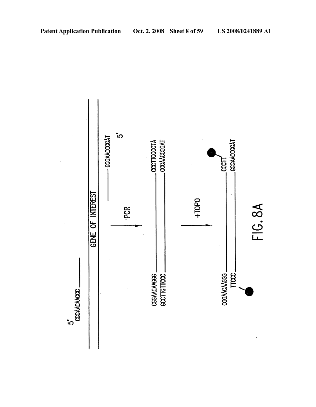 METHODS AND COMPOSITIONS FOR SYNTHESIS OF NUCLEIC ACID MOLECULES USING MULTIPLE RECOGNITION SITES - diagram, schematic, and image 09