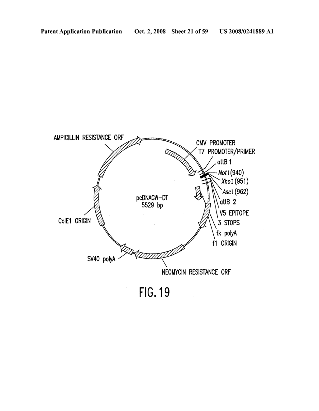 METHODS AND COMPOSITIONS FOR SYNTHESIS OF NUCLEIC ACID MOLECULES USING MULTIPLE RECOGNITION SITES - diagram, schematic, and image 22