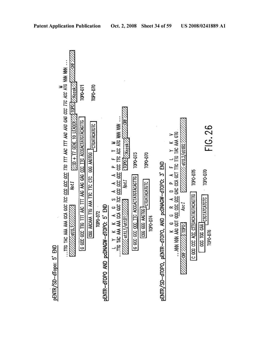 METHODS AND COMPOSITIONS FOR SYNTHESIS OF NUCLEIC ACID MOLECULES USING MULTIPLE RECOGNITION SITES - diagram, schematic, and image 35