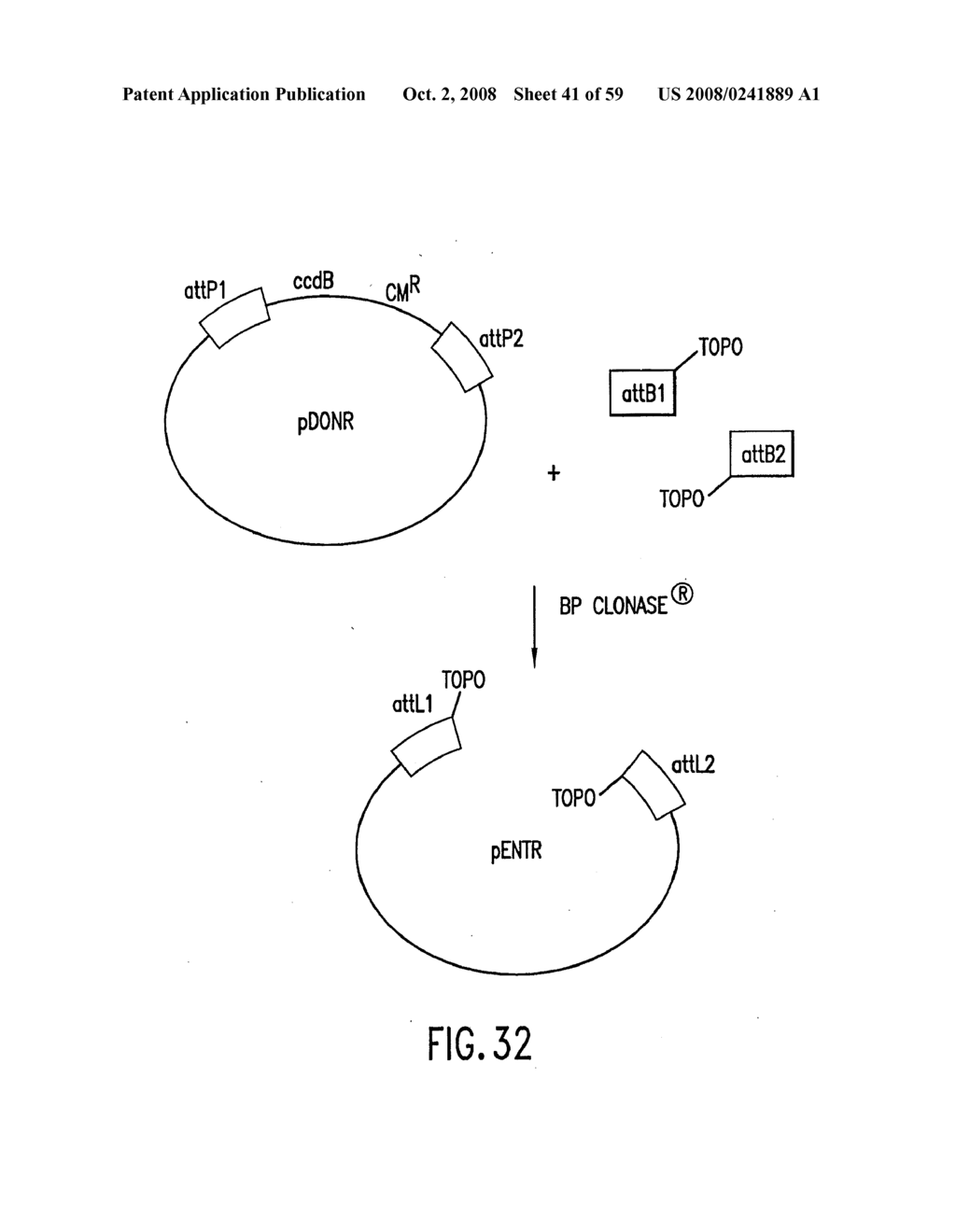 METHODS AND COMPOSITIONS FOR SYNTHESIS OF NUCLEIC ACID MOLECULES USING MULTIPLE RECOGNITION SITES - diagram, schematic, and image 42