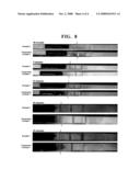 CHROMATOGRAPHIC TEST DEVICE AND METHOD FOR DETECTING ANALYTE diagram and image