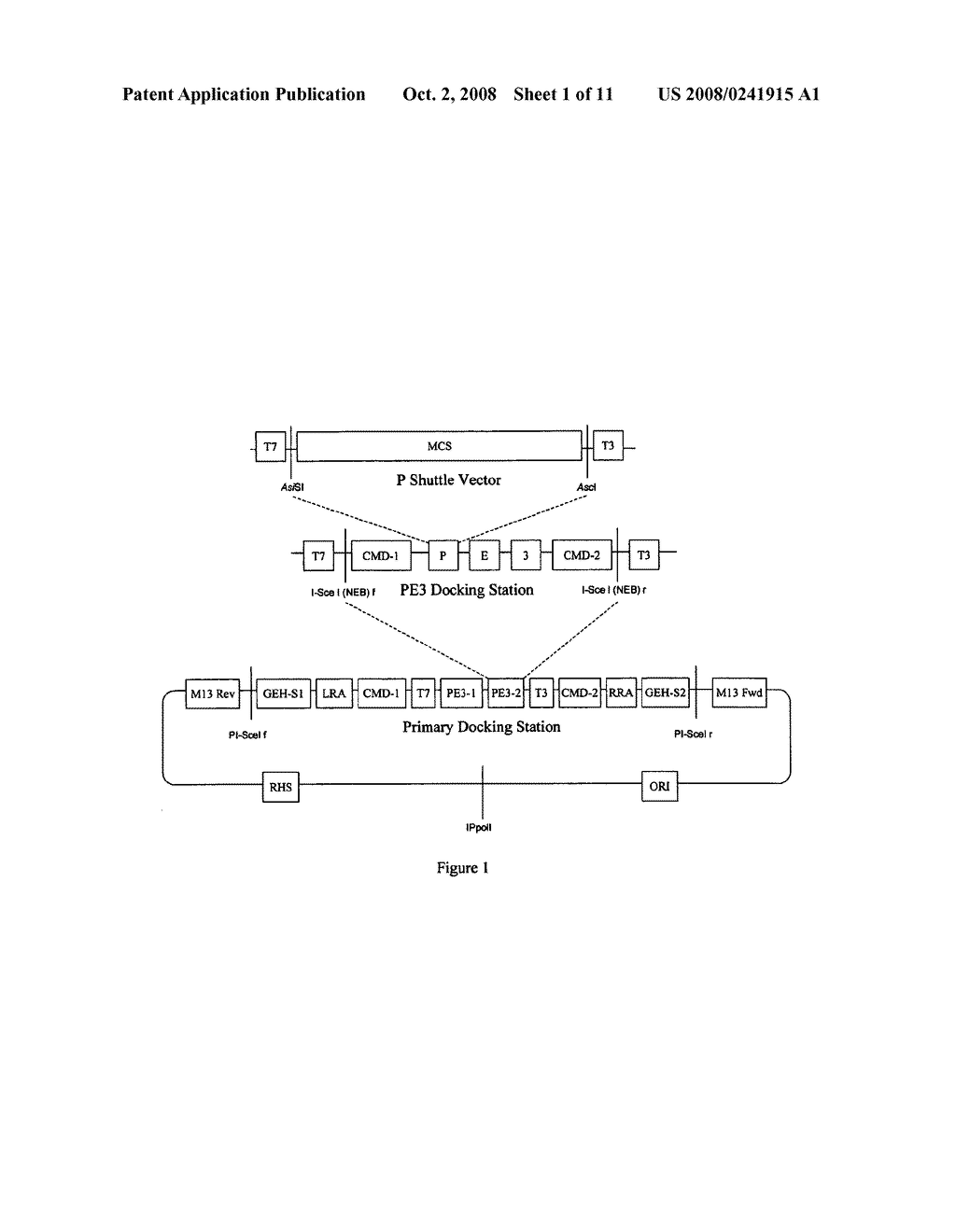 DNA CLONING VECTOR PLASMIDS AND METHODS FOR THEIR USE - diagram, schematic, and image 02