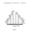 DNA CLONING VECTOR PLASMIDS AND METHODS FOR THEIR USE diagram and image