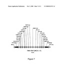 DNA CLONING VECTOR PLASMIDS AND METHODS FOR THEIR USE diagram and image