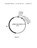 DNA CLONING VECTOR PLASMIDS AND METHODS FOR THEIR USE diagram and image