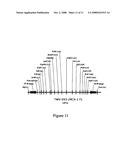 DNA CLONING VECTOR PLASMIDS AND METHODS FOR THEIR USE diagram and image