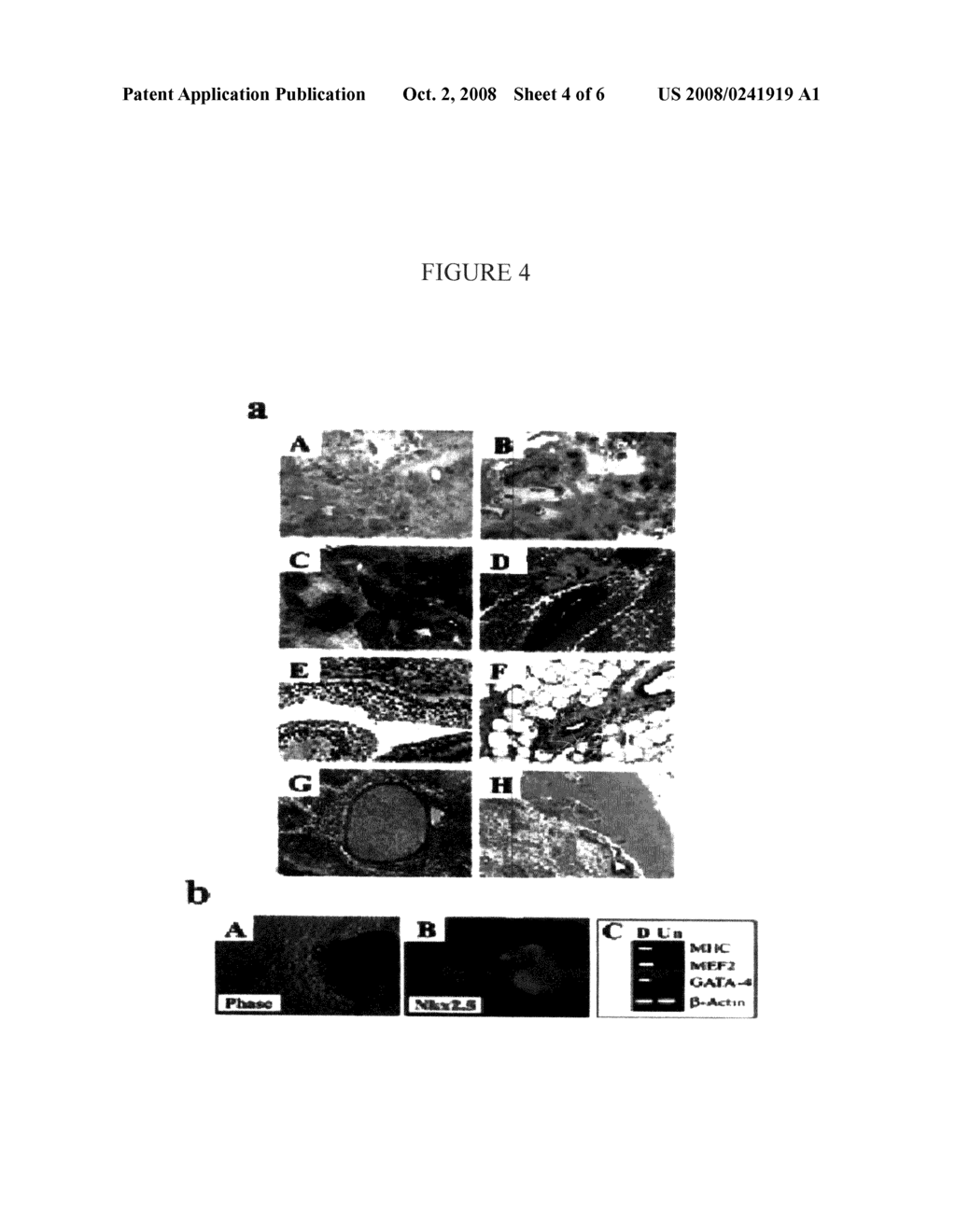 Defined media for pluripotent stem cell culture - diagram, schematic, and image 05