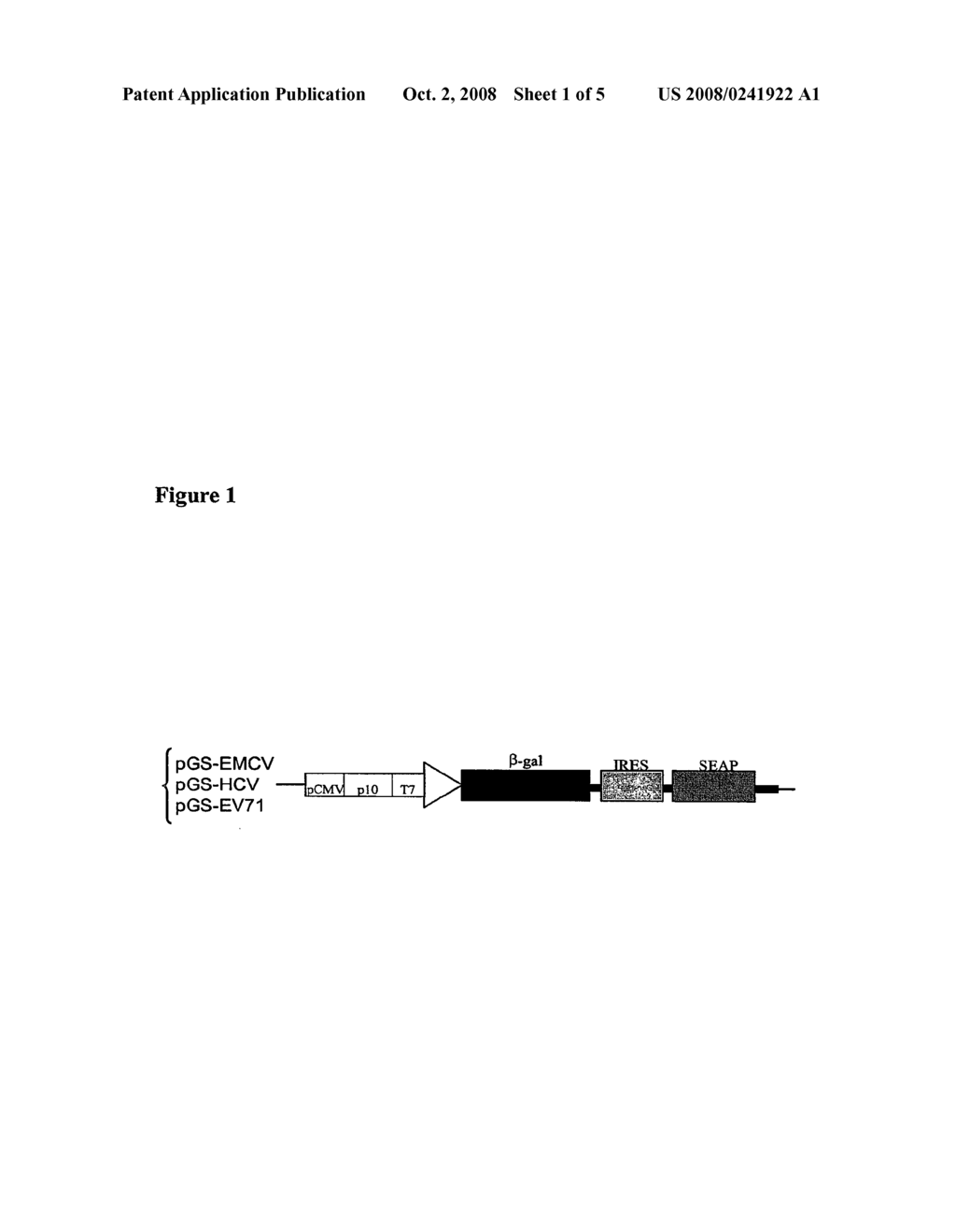 Use of Biocistronic DNA Constructs for Identifying Compounds that Inhibit IRES-Dependent Translation - diagram, schematic, and image 02