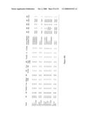 Humanized Anti-CCR2 Antibodies and Methods of Use Therefor diagram and image