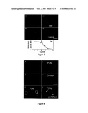 AIR-STABLE SUPPORTED LIPID BILAYER MEMBRANES diagram and image