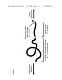 Nucleic Acid Sequencing In Free Solution Using Protein Polymer Drag-Tags diagram and image