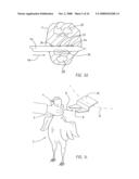 Method and Device for Processing a Slaughter Animal diagram and image