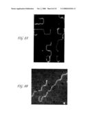 METHODS OF MACROMOLECULAR ANALYSIS USING NANOCHANNEL ARRAYS diagram and image