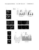 Methods for Promoting Stem Cell Proliferation and Survival diagram and image