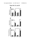 POLYPEPTIDES COMPRISING FAS ACTIVATION AND NKG2D-LIGAND DOMAINS diagram and image