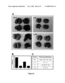 POLYPEPTIDES COMPRISING FAS ACTIVATION AND NKG2D-LIGAND DOMAINS diagram and image