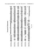 Microutrophin and Uses Thereof diagram and image