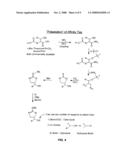 LABELING REAGENT AND METHODS OF USE diagram and image