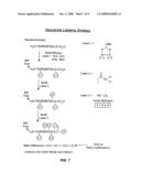 LABELING REAGENT AND METHODS OF USE diagram and image