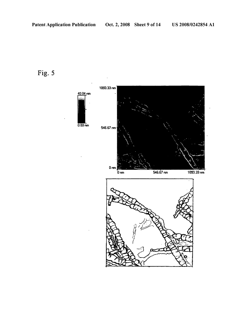 Polysaccharide-Carbon Nanotube Complex - diagram, schematic, and image 10