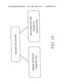 SYSTEMS AND METHODS OF PROMOTING ENGRAFTMENT OF A HYBRID HEMODIALYSIS ACCESS GRAFT OR A HYBRID FEMORAL ARTERY BYPASS GRAFT IN A MAMMAL diagram and image