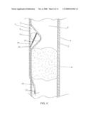 LUMEN REENTRY DEVICES AND METHODS diagram and image