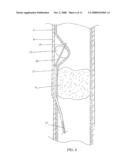 LUMEN REENTRY DEVICES AND METHODS diagram and image