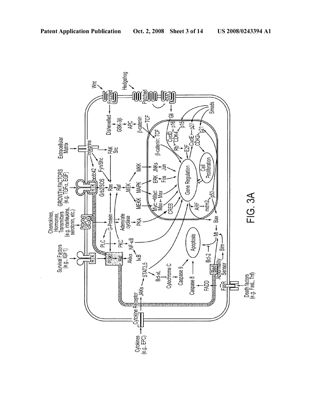 SYSTEM, METHOD AND COMPUTER PROGRAM PRODUCT FOR MANIPULATING THERANOSTIC ASSAYS - diagram, schematic, and image 04