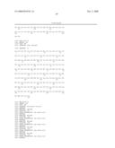 T1R HETERO-OLIGOMERIC TASTE RECEPTORS AND CELL LINES THAT EXPRESS SAID RECEPTORS AND USE THEREOF FOR IDENTIFICATION OF TASTE COMPOUNDS diagram and image