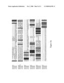 DIACYLGLYCEROL ACYLTRANSFERASE NUCLEIC ACID SEQUENCES AND ASSOCIATED PRODUCTS diagram and image