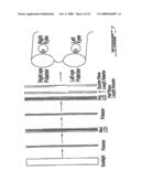 Stereoscopic Display System diagram and image