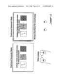 Stereoscopic Display System diagram and image