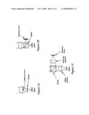 Tomographic Imaging by an Interferometric Immersion Microscope diagram and image