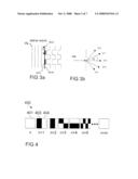 ILLUMINATION DEVICE AND METHOD FOR ILLUMINATING UNIFORMLY AN IMAGE GENERATING MICRO DISPLAY diagram and image