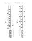 Method and System For Synchronising an Optical Transmitter With an Optical Modulator diagram and image