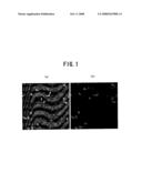 METHOD FOR PREPARING RARE EARTH PERMANENT MAGNET diagram and image